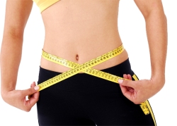 weightloss plan