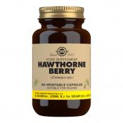 Solgar Hawthorne Berry 100 Vegetable Capsules 